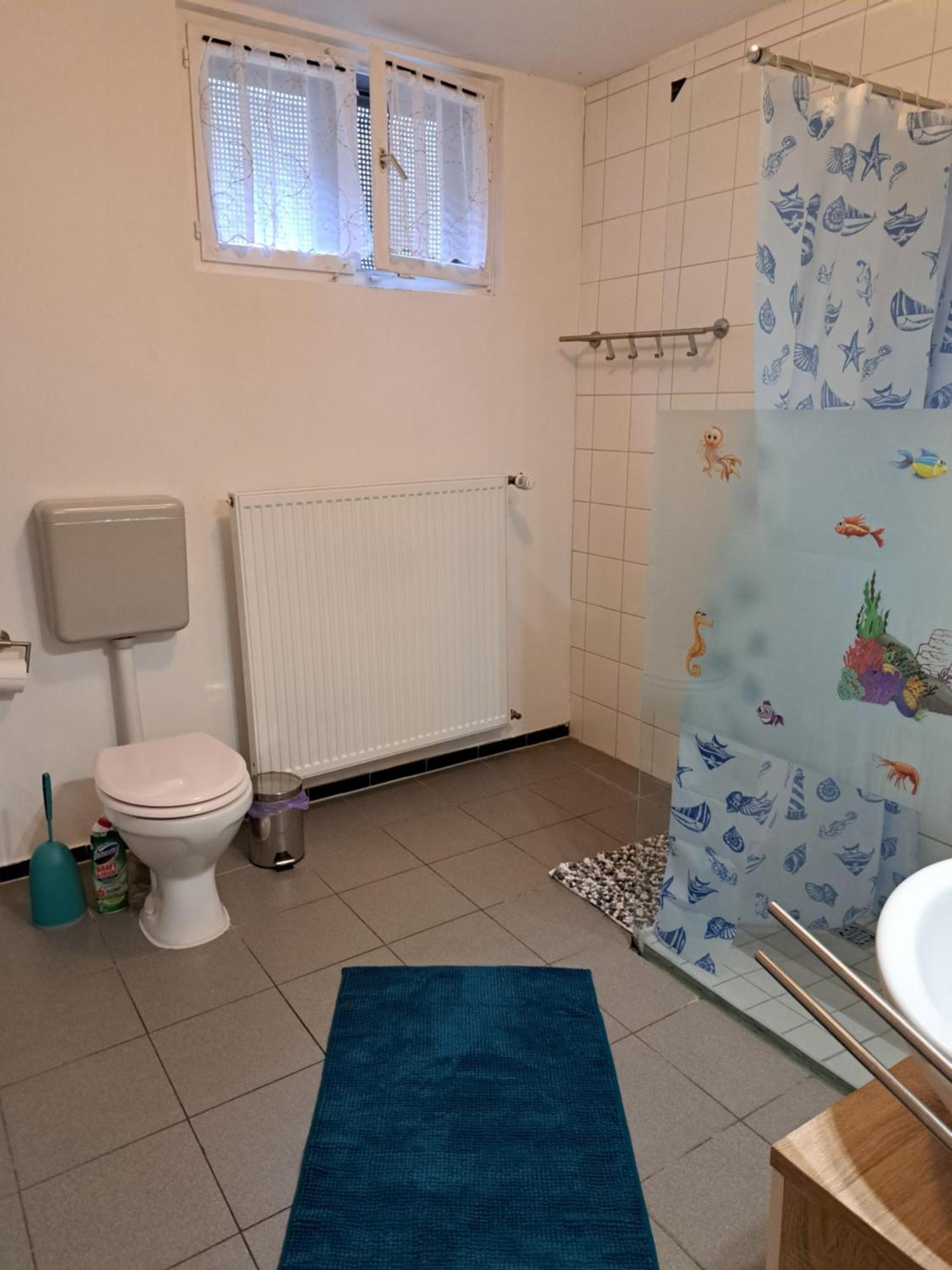 Wohnung Mit 2 - 3 Zimmern Ballenberg Exterior foto